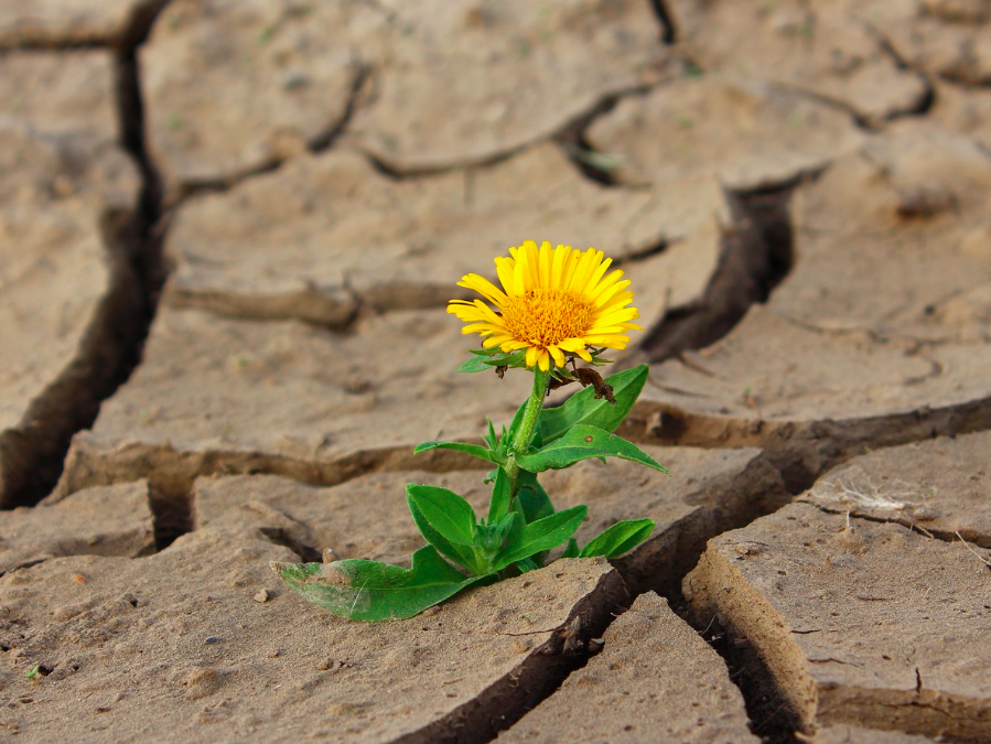 Resilienz – über Konfliktlösungen, Selbstwirksamkeit,Langeweile, Schönheit und den eigenen Körper