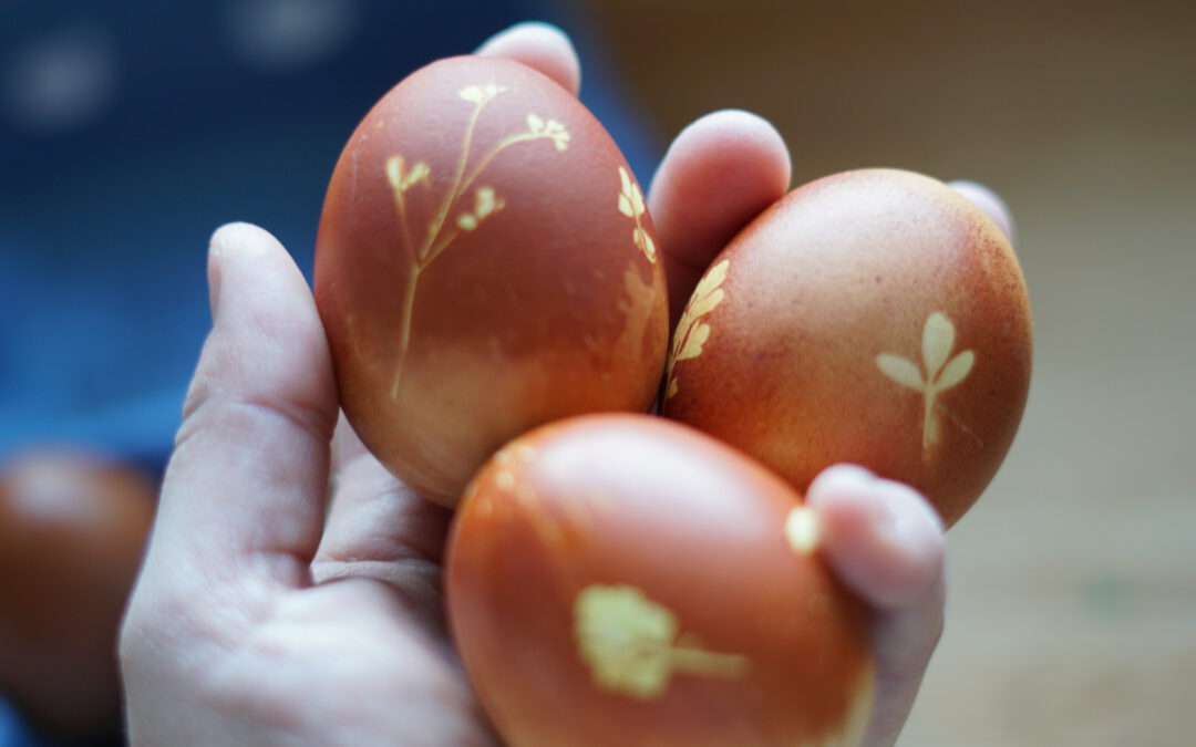 Eier färben wie Uroma